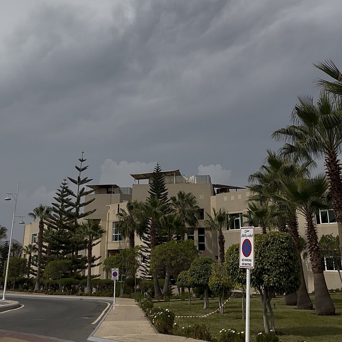 د.جَنى tweet media