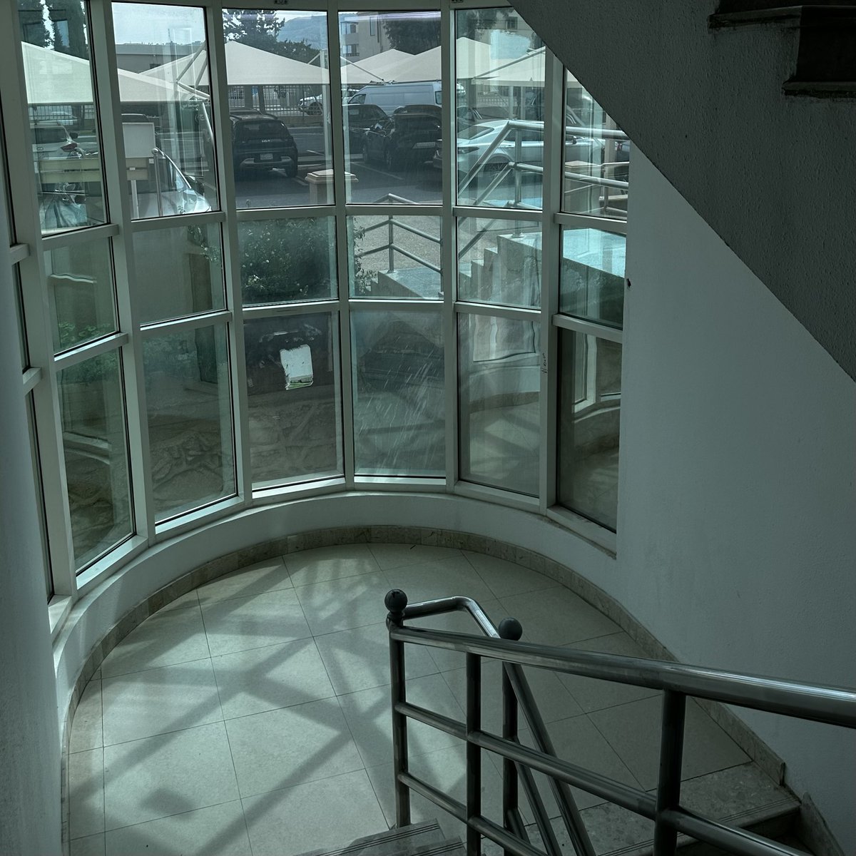 د.جَنى tweet media