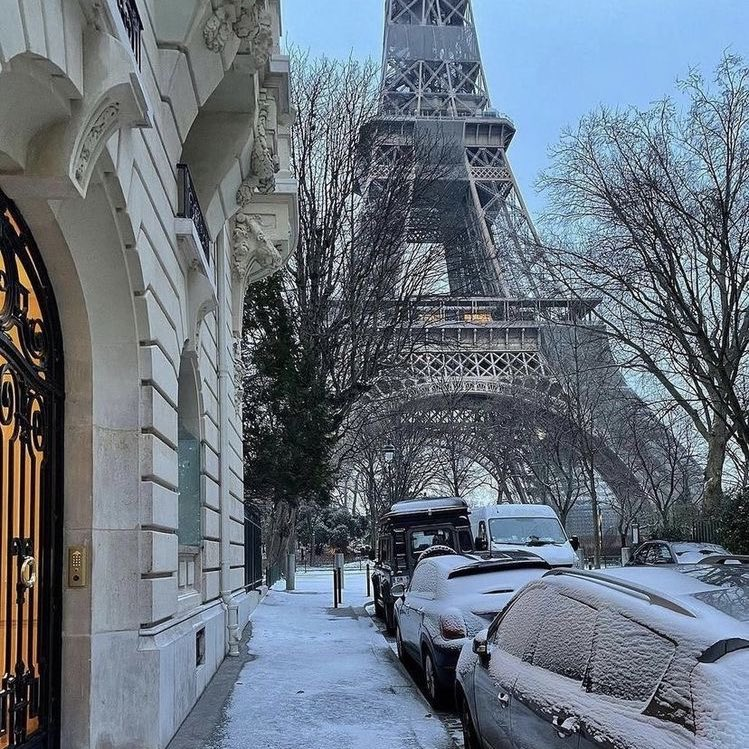 Parisian Aesthetics tweet media