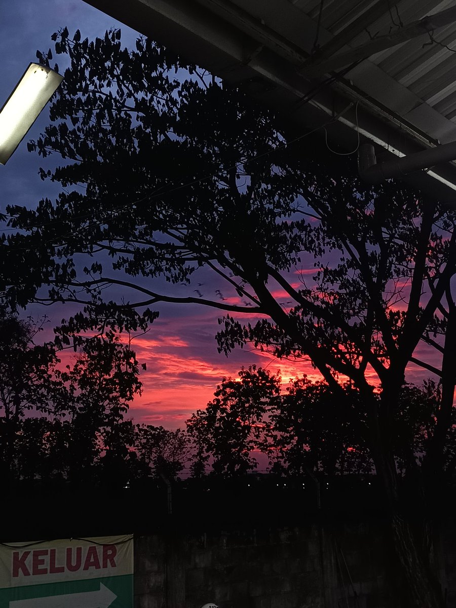 yourlovely1a's tweet image. Kamera HP Redmi Note 13 5g #redminote135g #photography #Camera