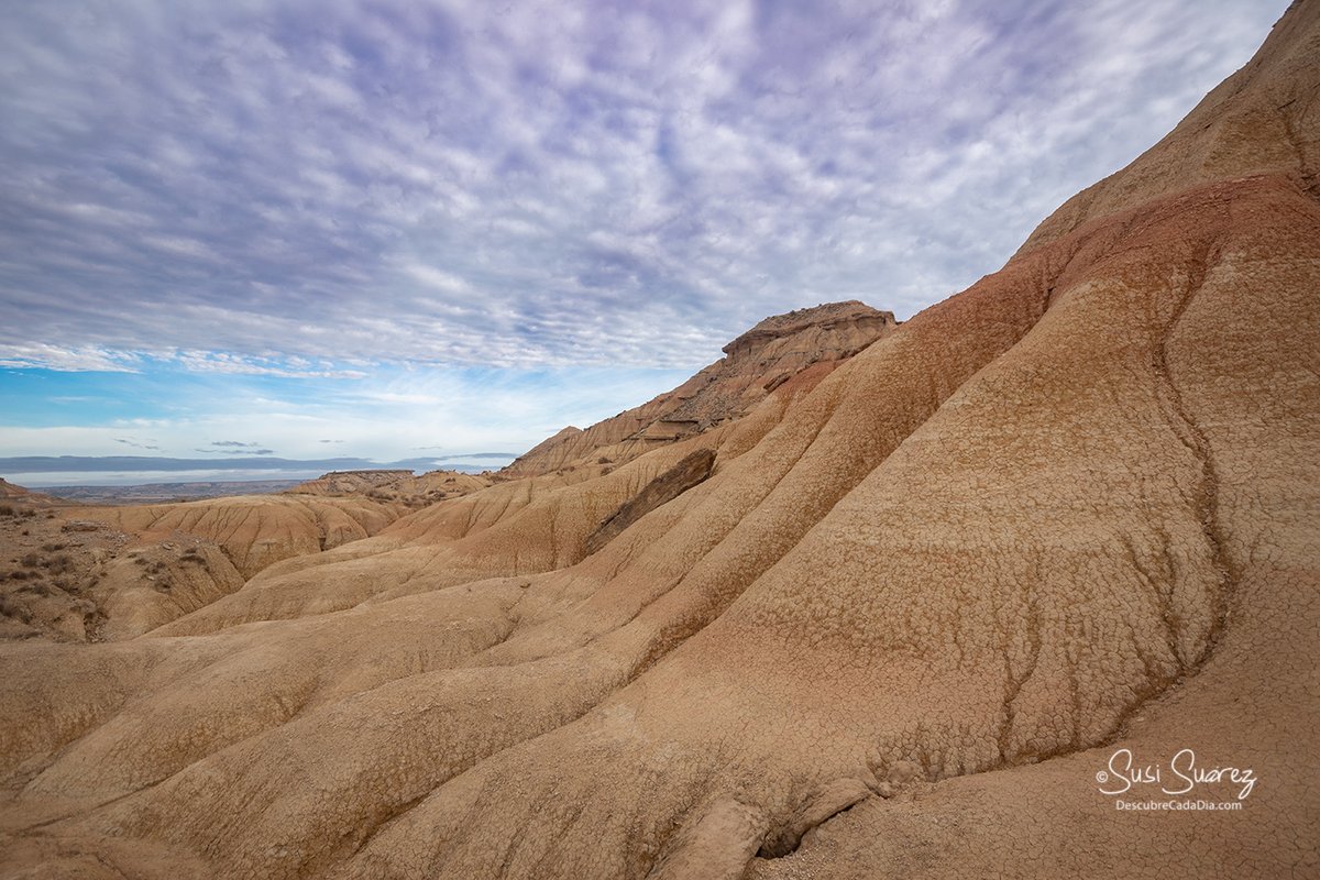 Formas caprichosas de la naturaleza