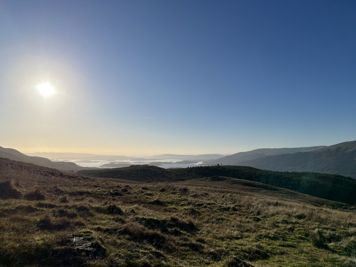 Alastair McIntosh tweet media