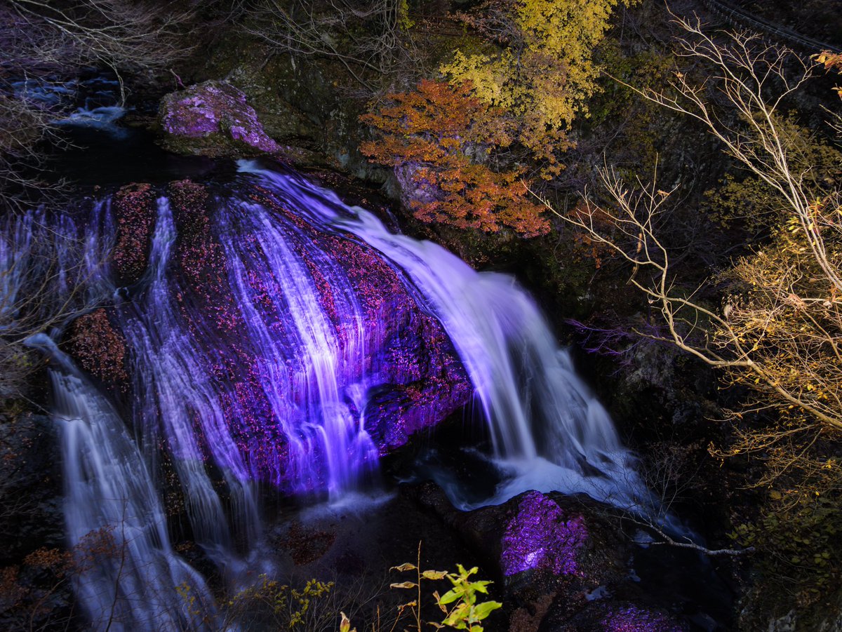 今回の金・土で紅葉撮り納めかなということで、あちこち撮ってきました