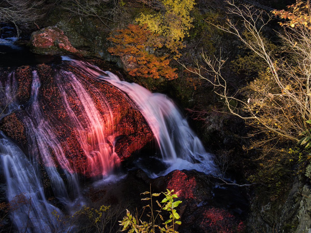 今回の金・土で紅葉撮り納めかなということで、あちこち撮ってきました