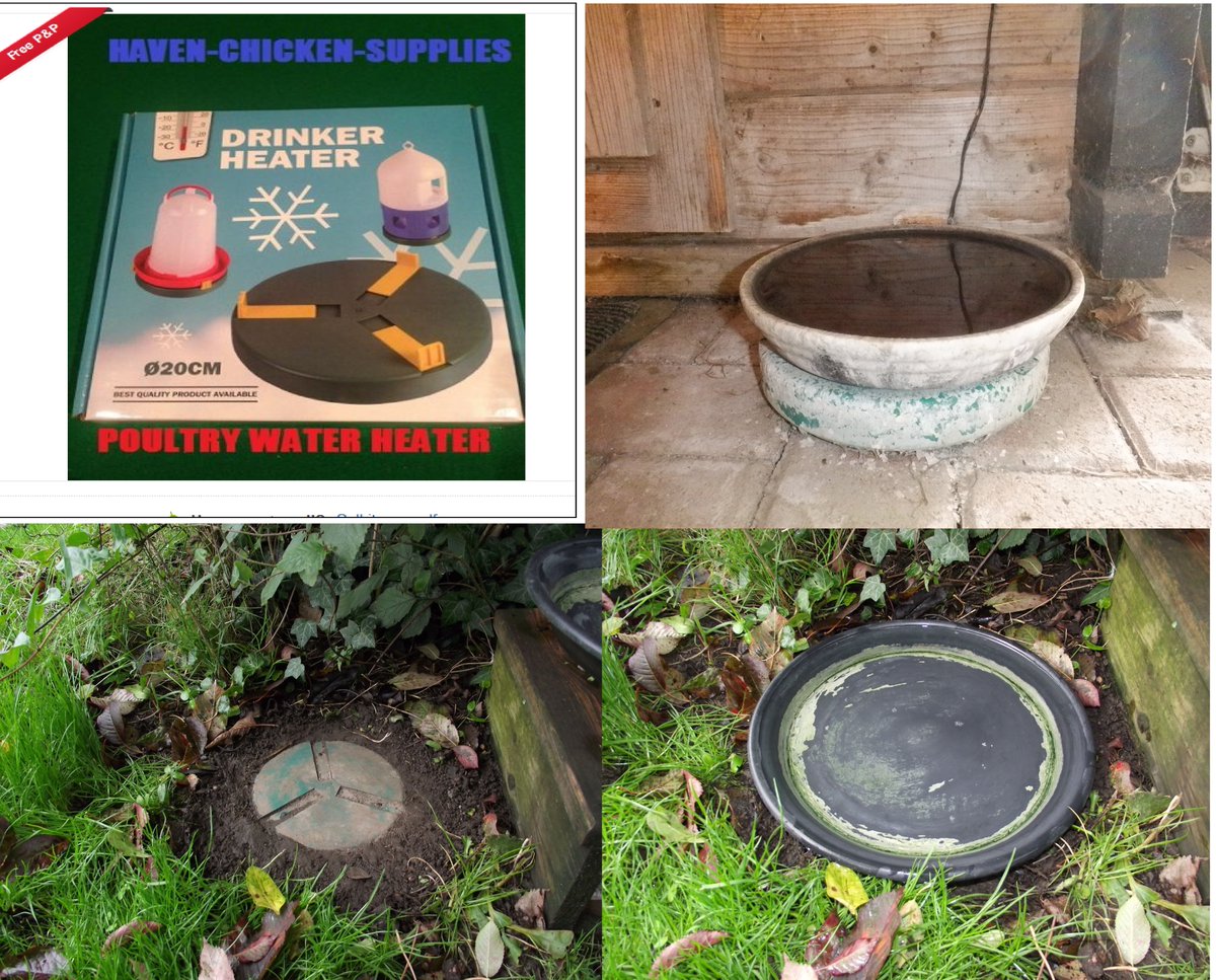 HedgehogCabin's tweet image. Night temperatures are forecast to drop below freezing this week, so now is the time to make sure you have an ice-free water source for your precious night time visitors.
We tend to think about the birds, and other daytime animals, but forget the poor nocturnal animals. 
It&apos;s…