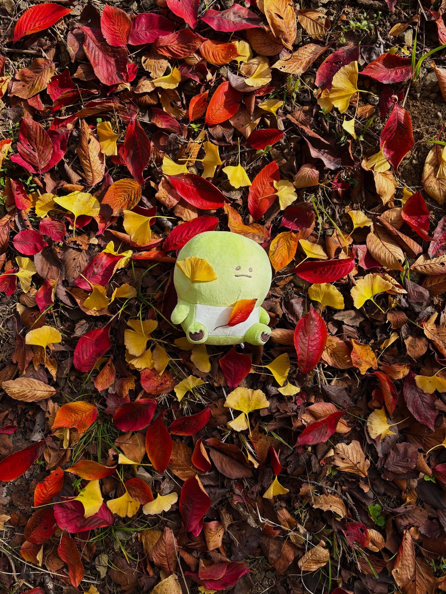 official_kaijuu's tweet image. 🍂😴