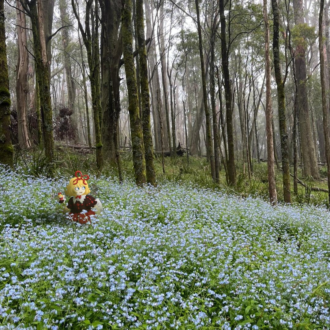 I tried something new. I'm happy with it, especially with this being the first time doing this.
Fun  fact, I drew this once before a few weeks ago, but the program crashed  and I lost everything. I've only just emotionally recovered enough to  try again.
#Touhou #東方Projectᅠ