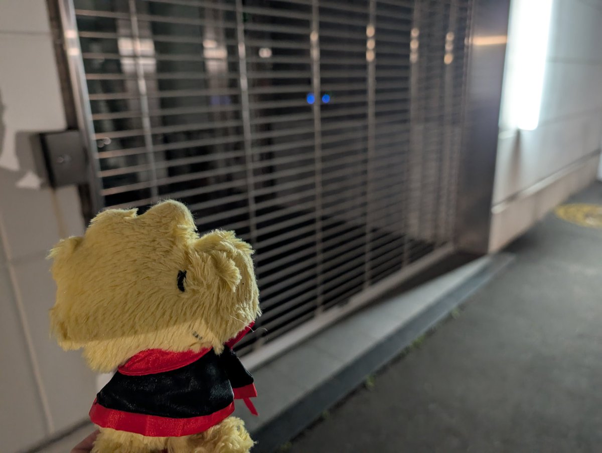 torikun_friend's tweet image. 皆様お疲れ様です🐥🌘

とりくん工場長業務終了しました🐥✊️
翌日の業務の為に、少し労働時間が伸びてしまいましたが、必要最低限は終わらせられました🐥✨️
帰りにはま寿司に入りたいですが、お客さんがいっぱいです🐥🍣