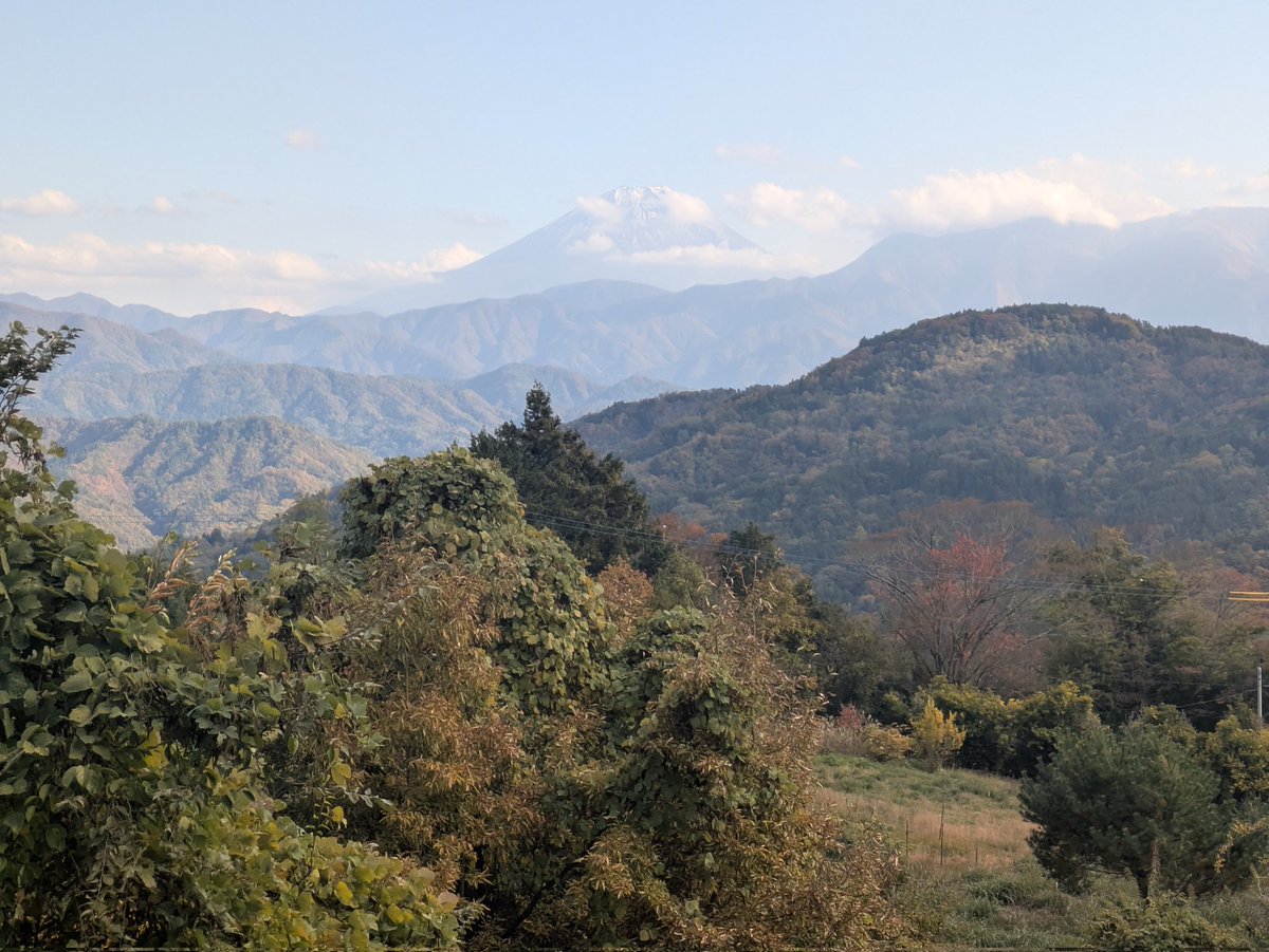 Ryoko555555's tweet photo. 富士山見た後の鰻！！
口コミ見て行ったんだけど、ふわふわでタレとご飯も調和が取れてて美味し〜でした💓 https://t.co/INVzVwb8WC