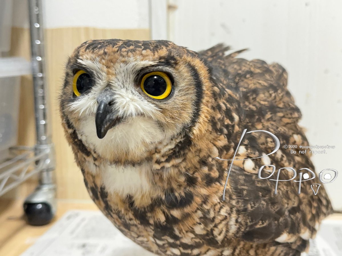 ﾝﾍﾟﾝﾍﾟﾝﾍﾟﾝﾍﾟﾝﾍﾟﾝﾍﾟﾝﾍﾟﾝﾍﾟﾝﾍﾟﾝﾍﾟﾝﾍﾟﾝﾍﾟﾝﾍﾟﾝﾍﾟﾝﾍﾟﾝﾍﾟﾝﾍﾟﾝﾍﾟﾝﾍﾟﾝﾍﾟﾝﾍﾟﾝﾍﾟﾝﾍﾟﾝﾍﾟﾝﾍﾟﾝﾍﾟﾝﾍﾟﾝﾍﾟﾝﾍﾟﾝﾍﾟﾝﾍﾟﾝﾍﾟﾝﾍﾟﾝﾍﾟﾝﾍﾟﾝﾍﾟﾝﾍﾟﾝﾍﾟﾝﾍﾟﾝﾍﾟﾝﾍﾟﾝﾍﾟﾝﾍﾟﾝﾍﾟﾝﾍﾟﾝﾍﾟﾝ