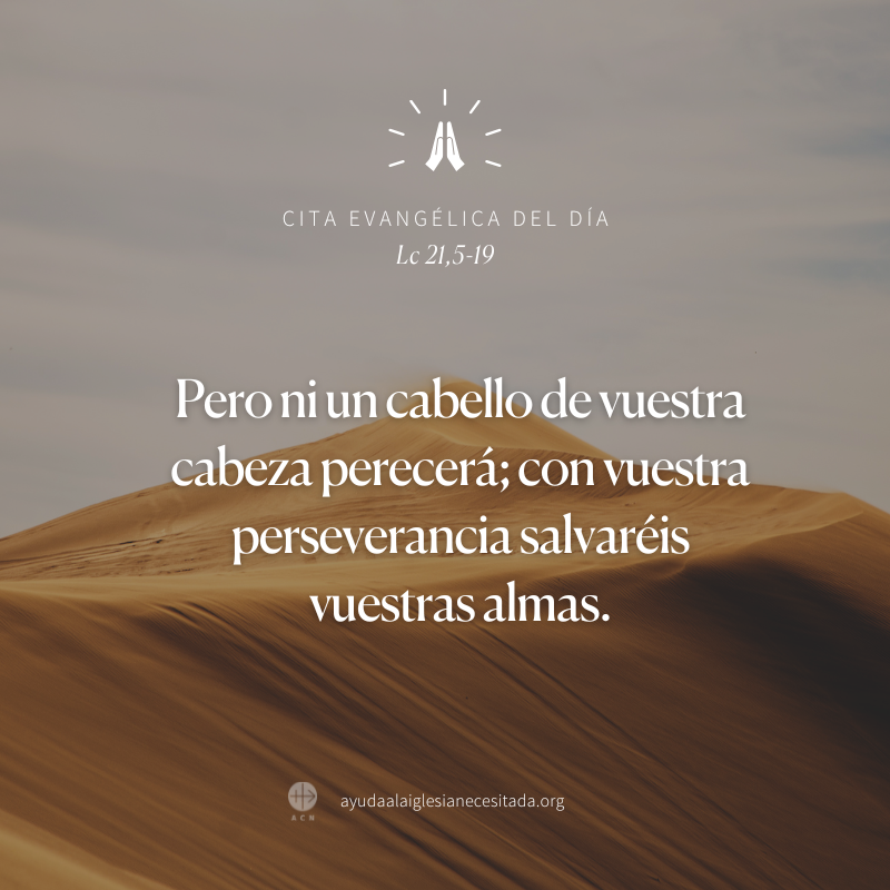 AyudaIglesNeces's tweet image. Padre, muéstranos el camino hacia la Verdad.
🙏 bit.ly/RezaElAngelus