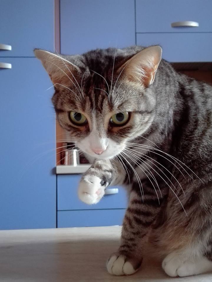 <a href="/LoryBudano2/">@LoryBudano2</a> <a href="/Angiole03842000/">Angioletto</a> <a href="/CaronteT/">Tiziana Caronte</a> <a href="/crociangelini/">Elisabetta </a> <a href="/enricamaurizia/">enrica</a> <a href="/mariella14051/">Marielle Matone</a> <a href="/RIndrio/">Rita Indrio</a> <a href="/SimoxDil/">simonetta.dilazzaro</a>