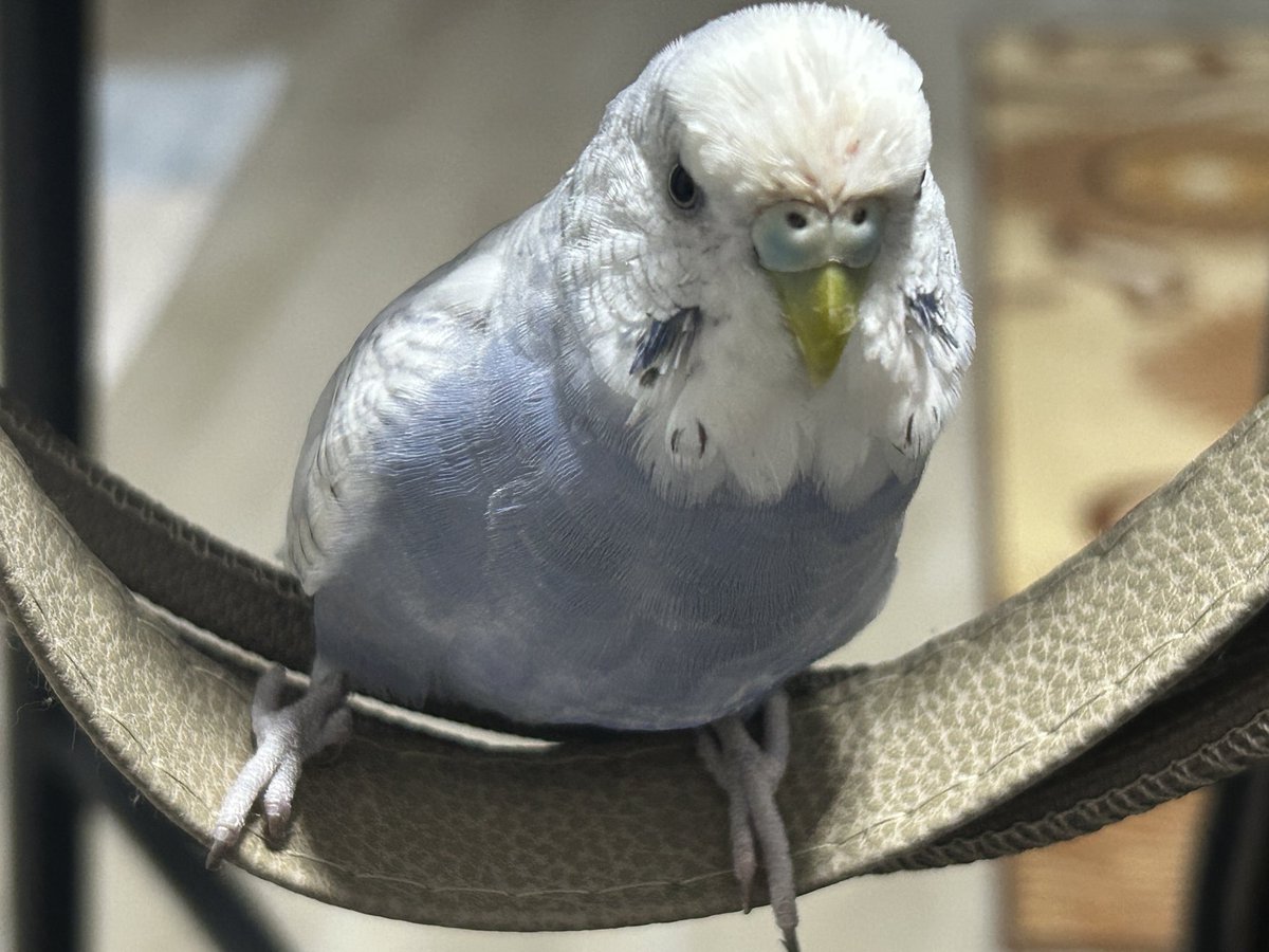 Sizden gelenler 📸