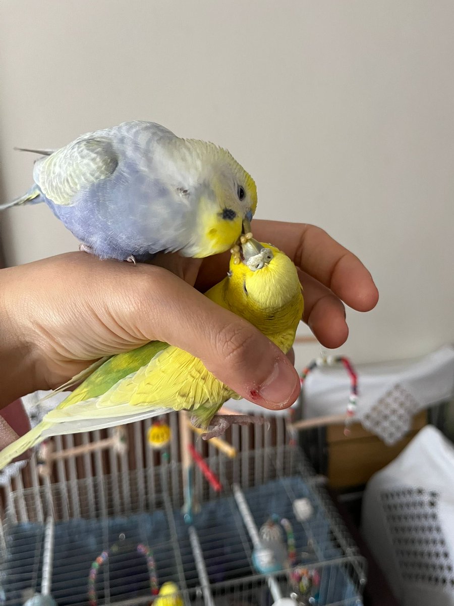 Sizden gelenler 📸