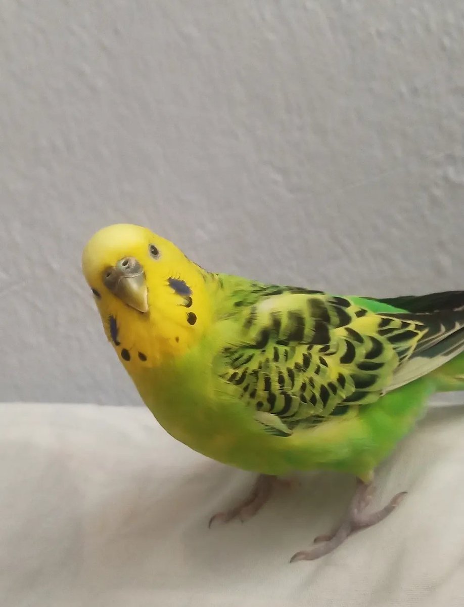 Sizden gelenler 📸