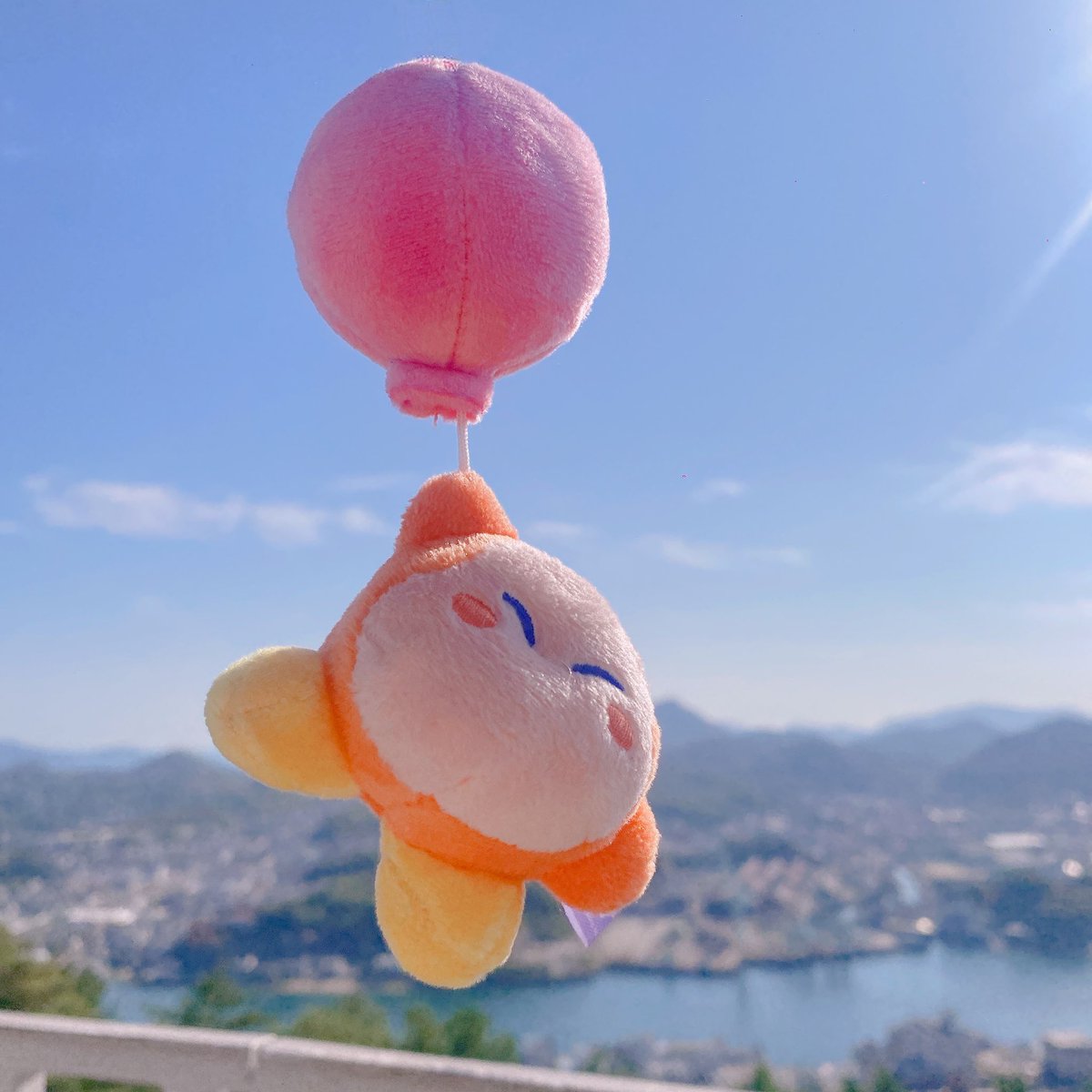 わにゃ！！！🎈
#ワド部