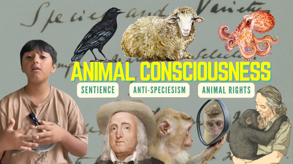 🐾✨ New video is live! 🐾✨
Every living creature has value and plays a unique role in the world. Today, we explore animal sentience🧠
 I donate 100% of my channel money to animal charities, so please remember to👍 and 🔔 to help me reach more people!
👉youtu.be/EeD3EXQyJUA