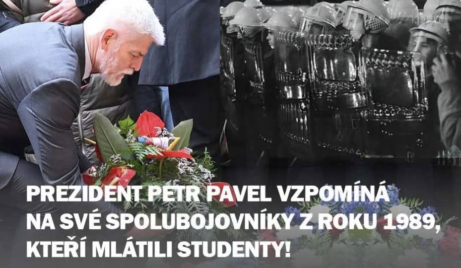 Ferda Srohy tweet media