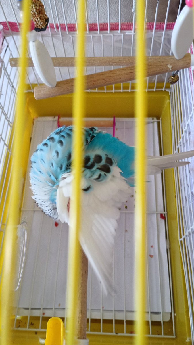 Sizden gelenler 📸