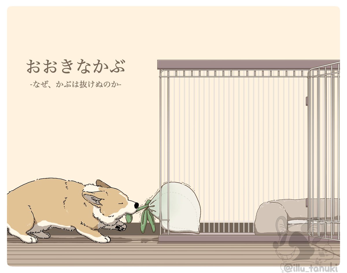 今年も残りわずかなのでお気に入りの4枚を貼る