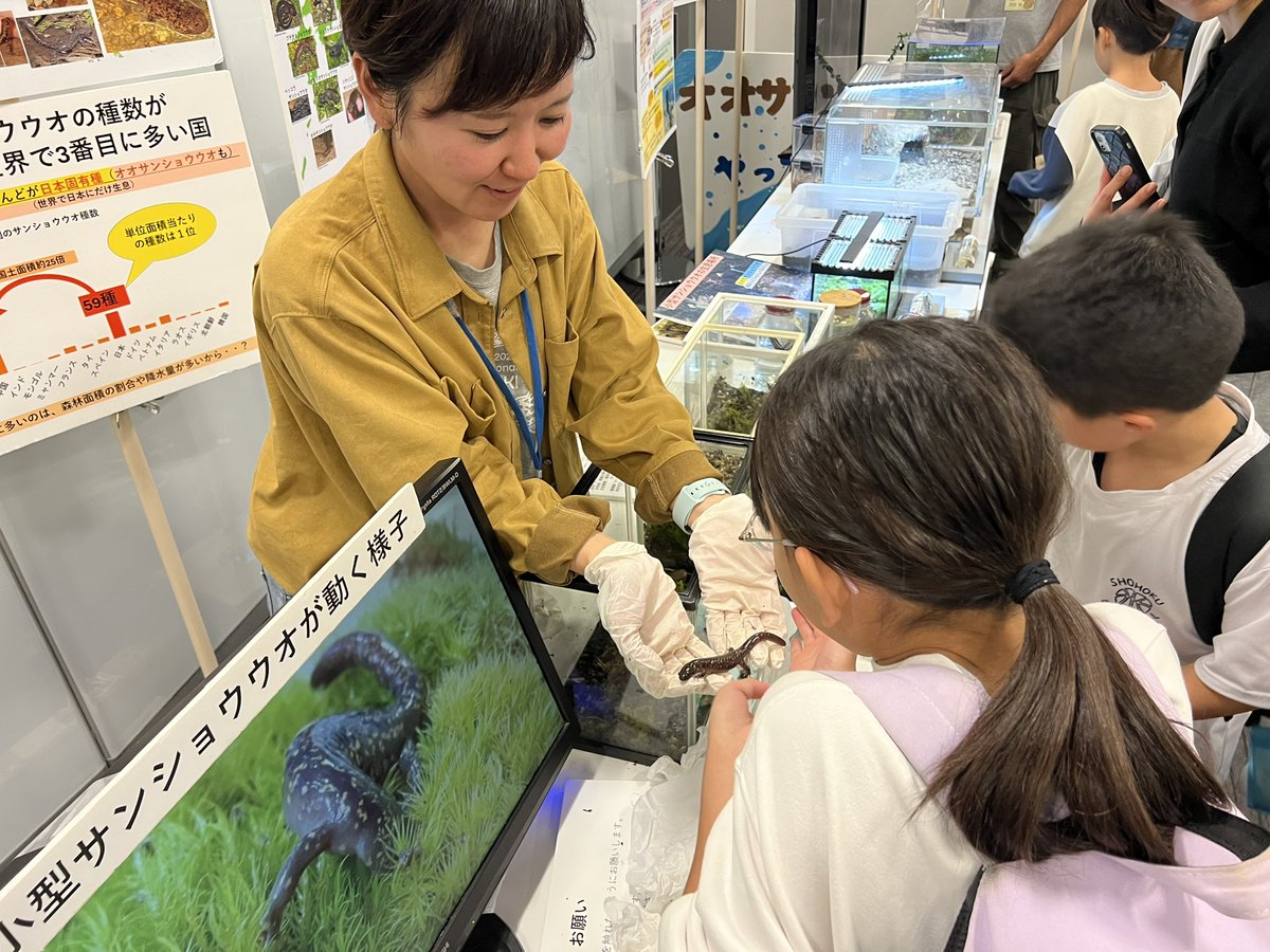 日本ハンザキ集覧 秋の公開見学会のお知らせ - 日本ハンザキ研究所