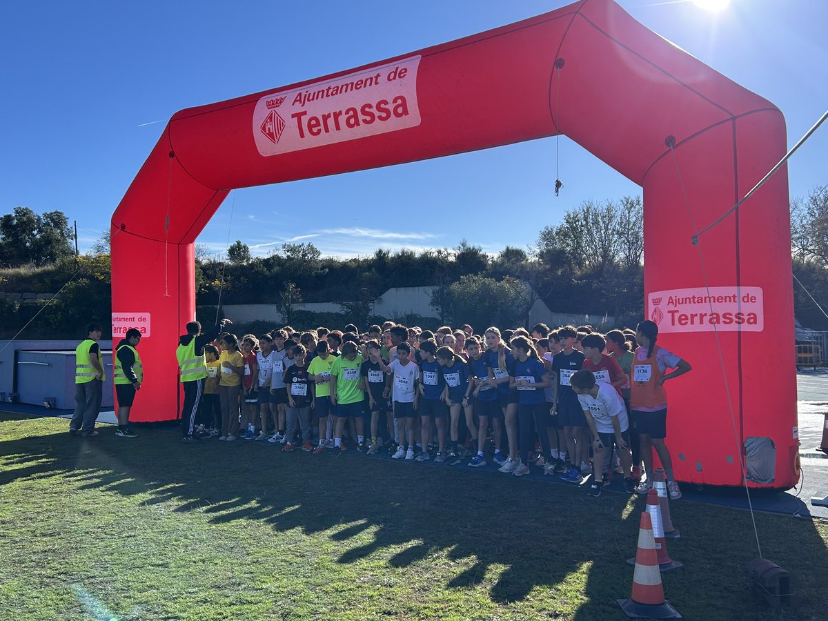 Meritxell Lluís i Vall tweet media