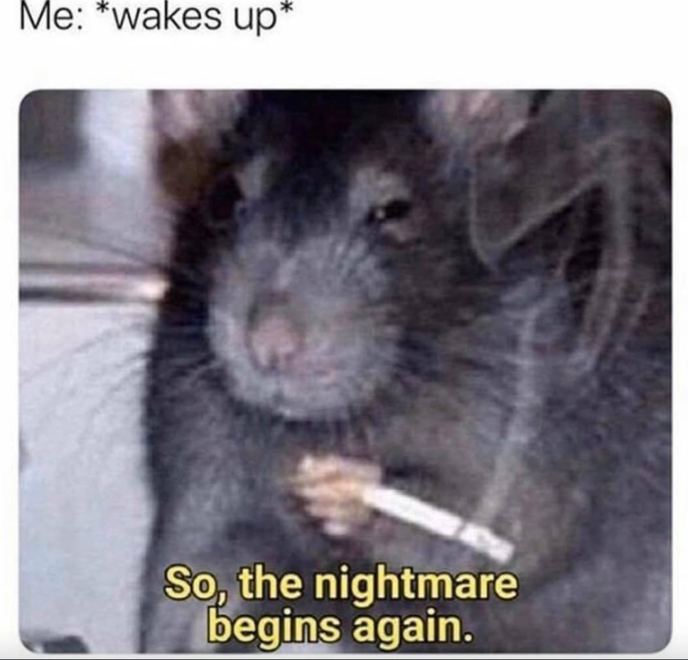 Nevermind-🏴󠁧󠁢󠁥󠁮󠁧󠁿🇺🇸 (@xoyoy) on Twitter photo 