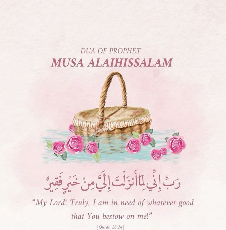 1c1i_i's tweet image. 🤍🌷