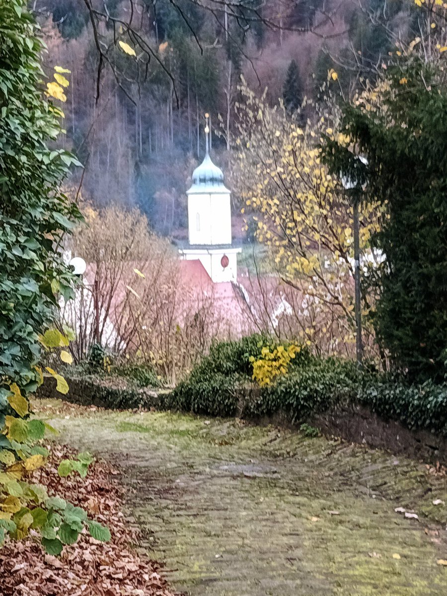 FlorettaNagel's tweet photo. Neuenbürg im Schwarzwald 🌲❤️
#blackforest #schwarwald #visitbawue #weekend https://t.co/mPGuyJ03ZI