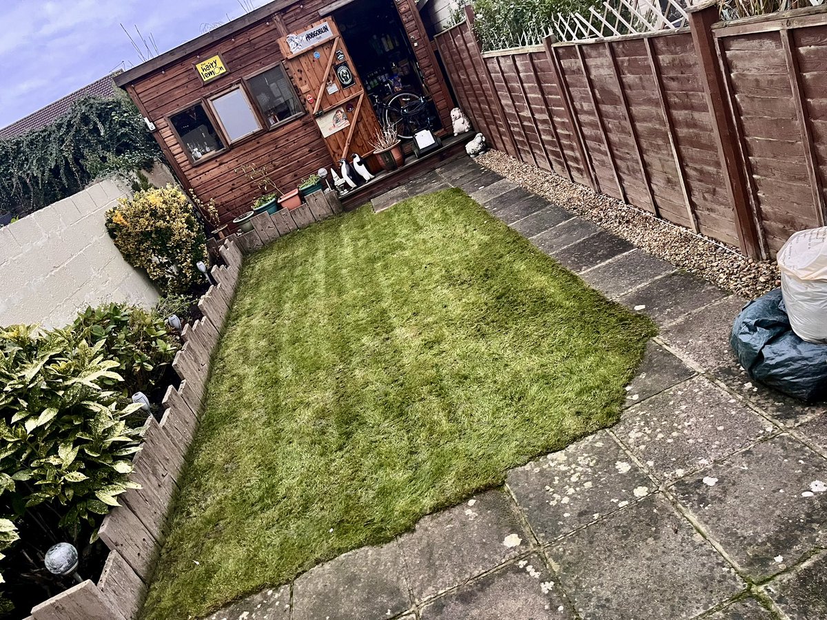 Daniel French tweet media