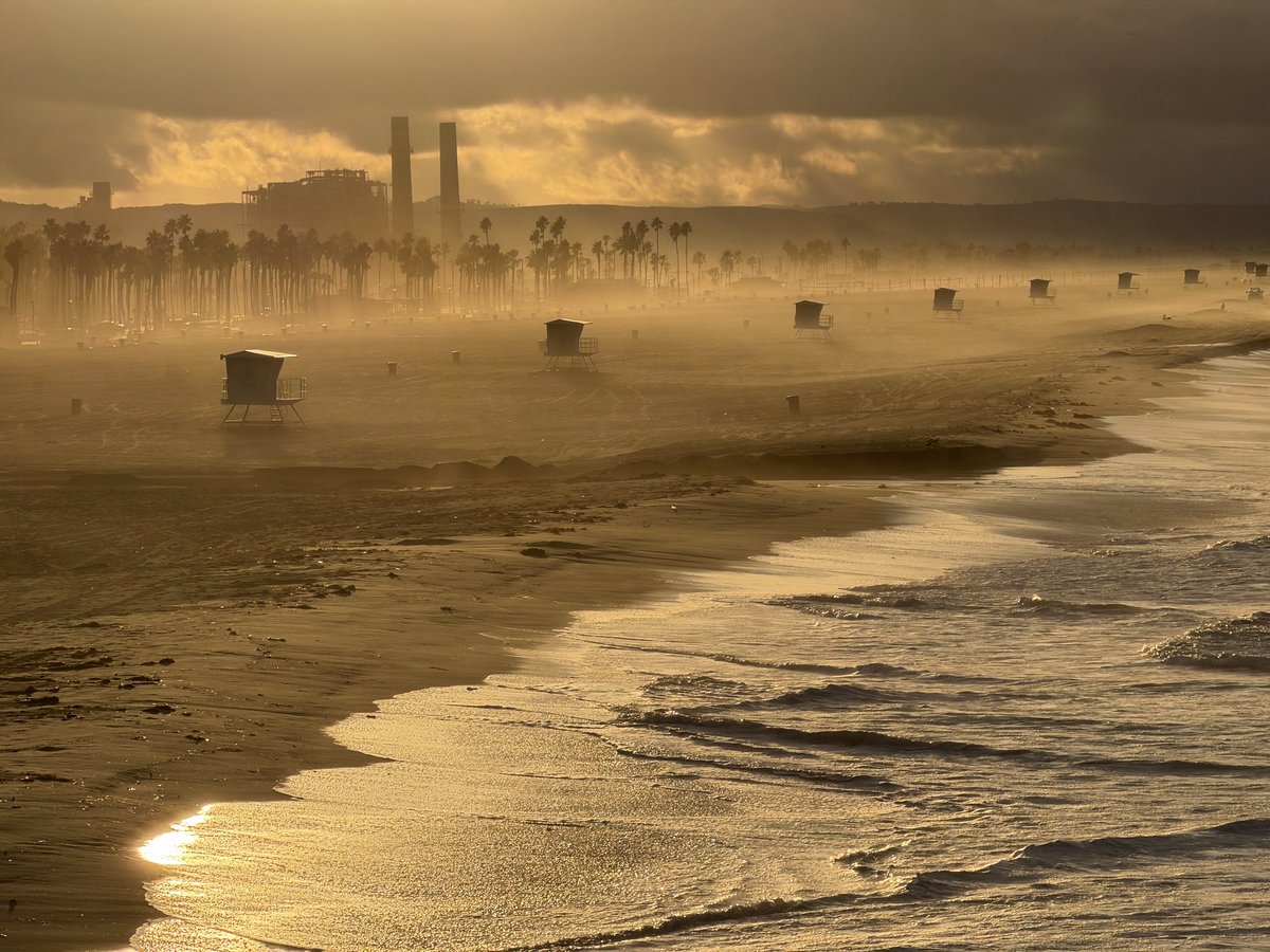 Patrick O'Neill tweet media