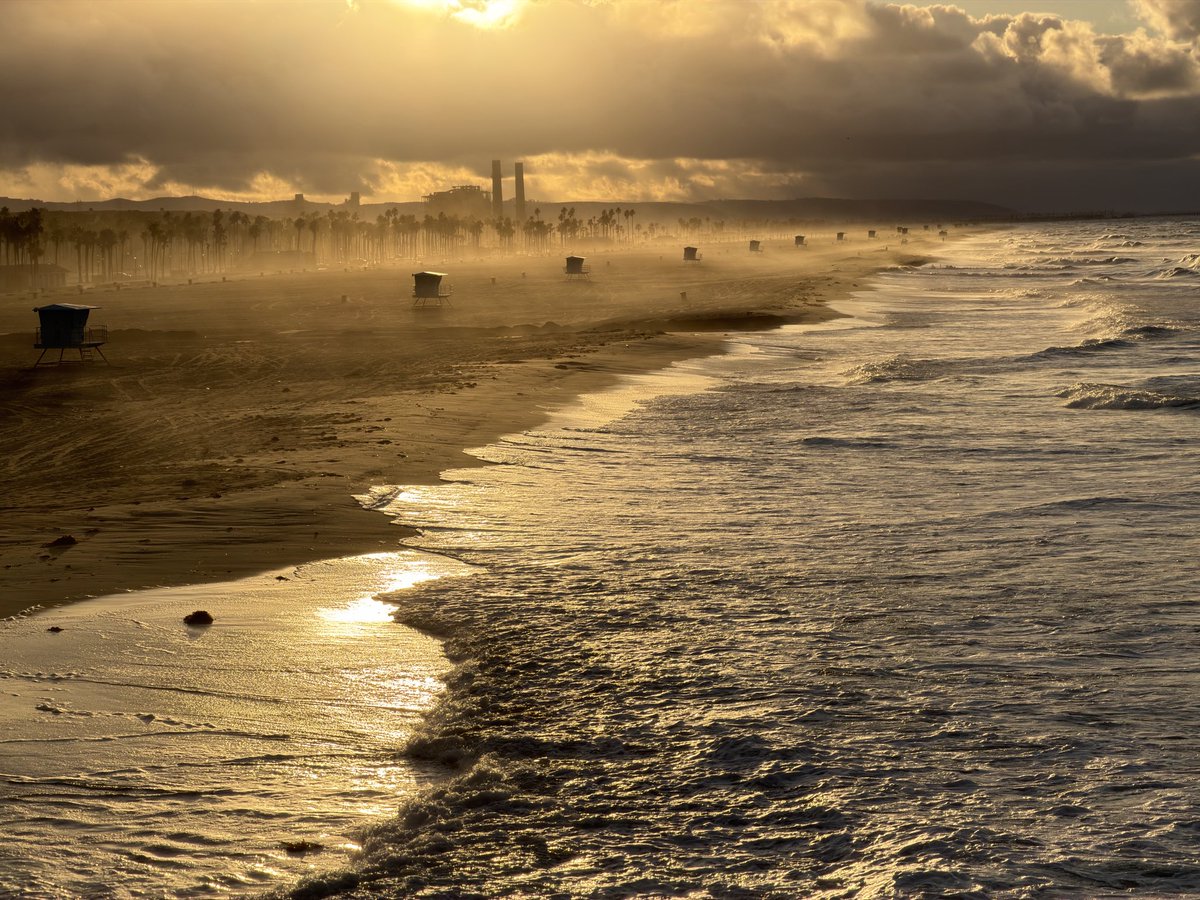 Patrick O'Neill tweet media