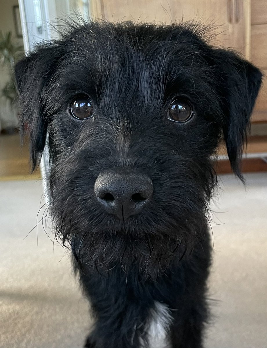 Adele and Rex (former staff to Monty🌈& Jilly🌈) tweet media