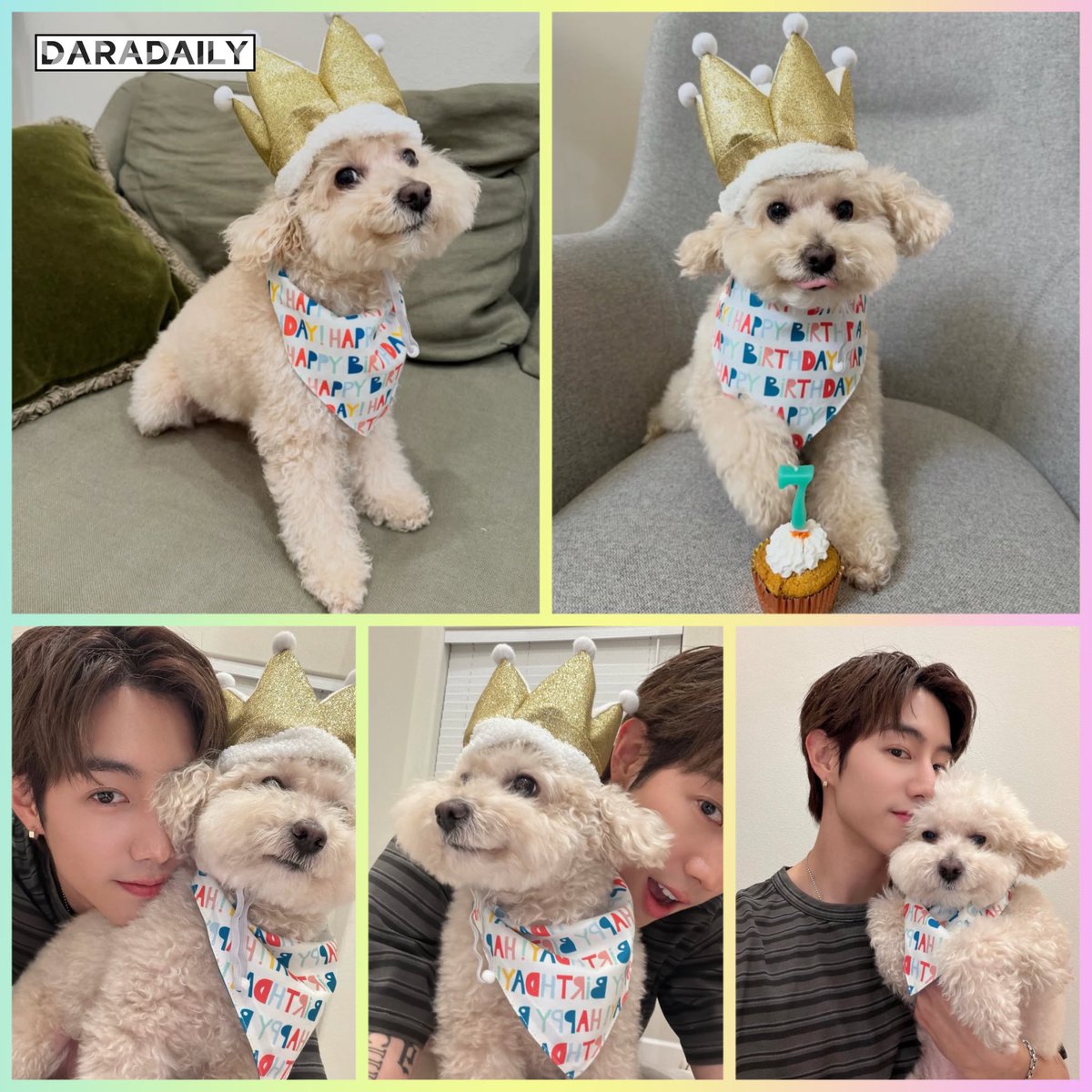 น้องไมโล 7 ขวบแล้วค้าบบบบ 🎉🥳🐶

สุขสันต์วันเกิดน๊าไมไมของพี่มาร์ค~ 

Cr. IG : marktuan

#Milo #MarkTuan #GOT7 #daradaily #ดาราเดลี่ #ข่าวบันเทิง
