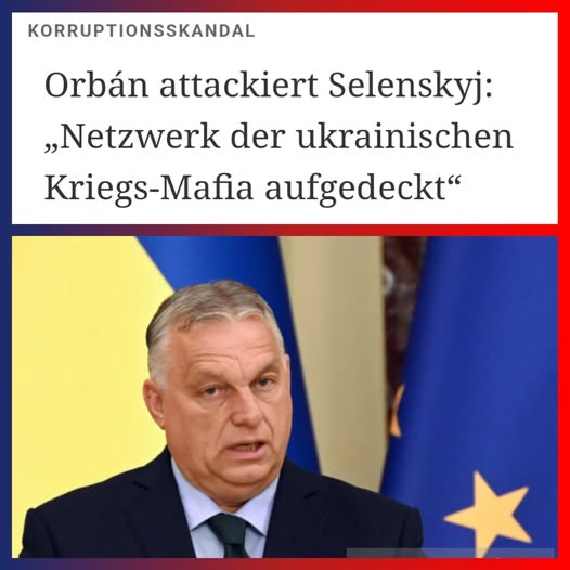 FRAU MAYER tweet media