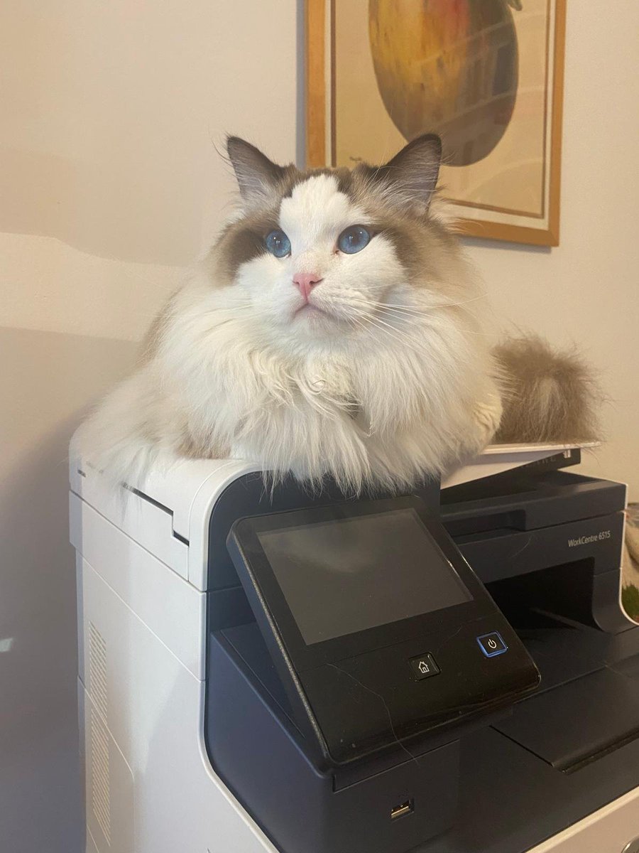 <a href="/ScaltritiLab/">Maurizio Scaltriti</a> Anche io ho l'aiutante.