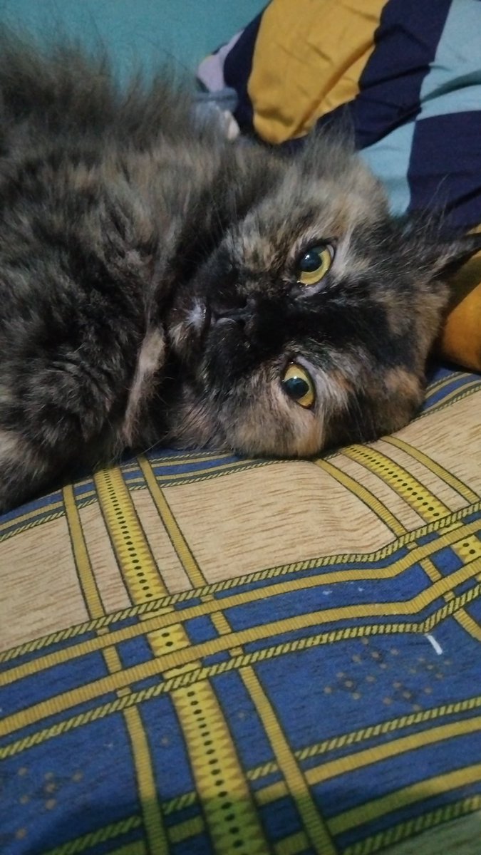 tambah lagi df aku dong mbak