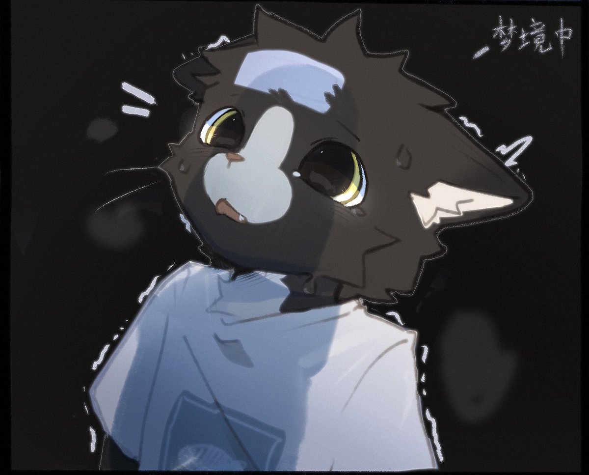 格尔森 tweet media