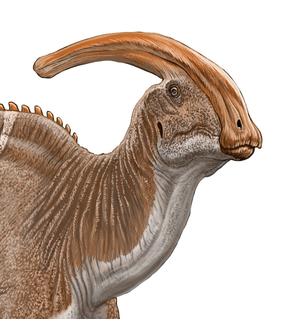 E3%83%91%E3%83%A9%E3%82%B5%E3%82%A6%E3%83%AD%E3%83%AD%E3%83%95%E3