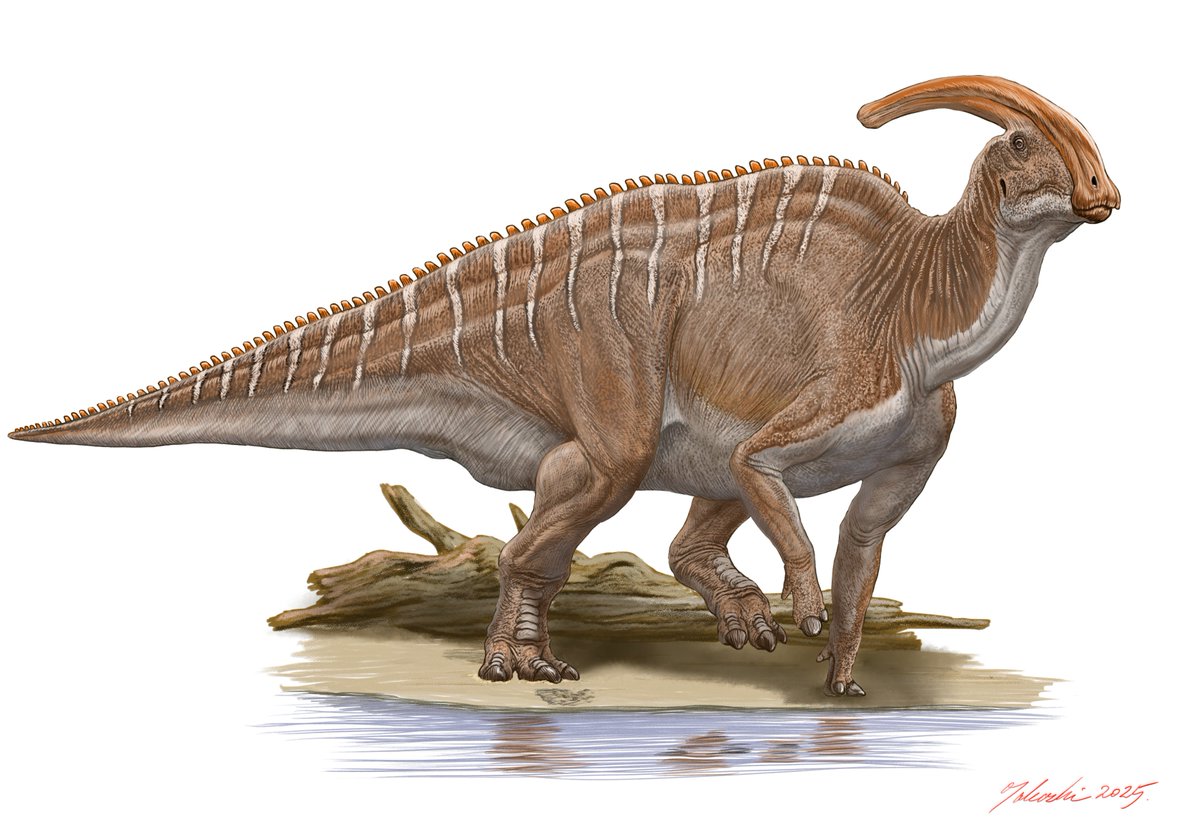 中生代ユウ (@yumisaurus1954) / Posts / X