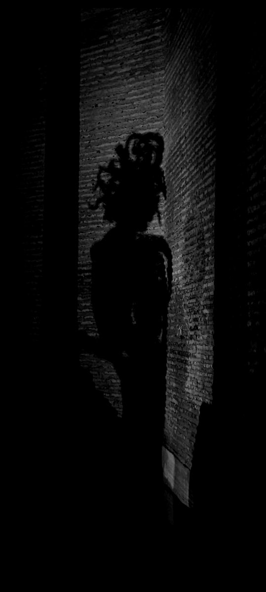 They say
to look into your eyes
will turn a man to stone.

They say
you are a threat,
a creature shaped for fear.

They say
you are a monster,
your hair full of snakes.

I know the truth:
you were raped,
betrayed,
punished,
and killed
by the gods.

I see you.

Istanbul, Turkey