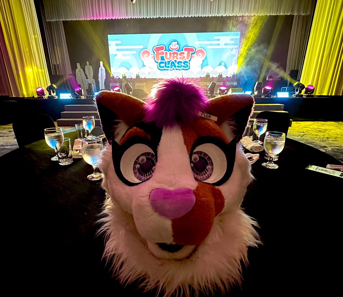 My final event at my final Korean furry convention! It was and still is the best weekend ever!! Hanging out with my friends all weekend is the best way to say goodbye to this country I love so much!!