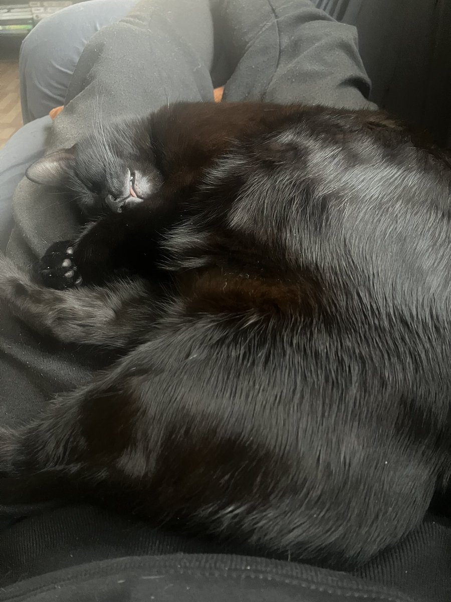 javatuno's tweet image. La lengüita fuera jeje