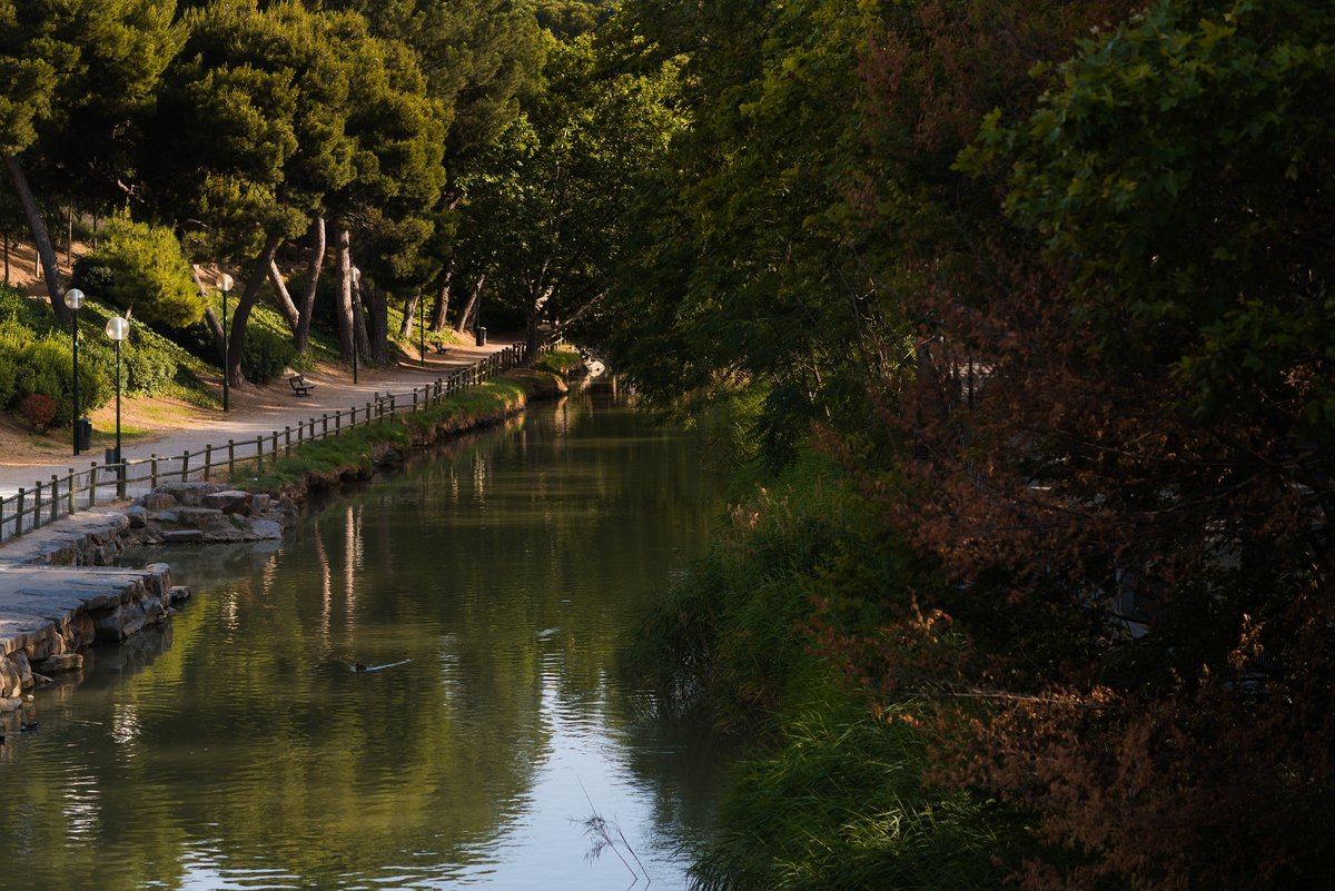 El Parque Grande, el Parque del Agua o el Canal Imperial...

🍂 Son solo algunos ejemplos para pasear y conectar con la naturaleza en plena ciudad.

Aquí te dejamos algunos más 👉 bit.ly/ZGZNATURAL

#AquíyahoraZaragoza