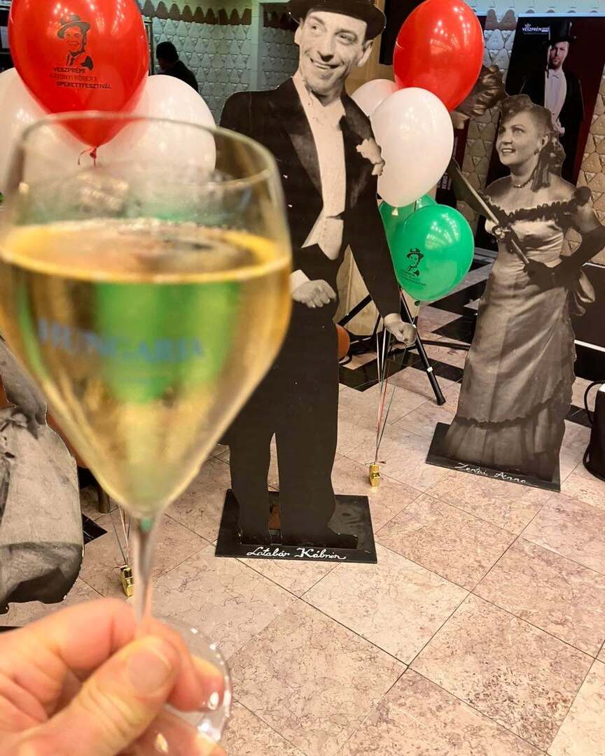 PalKerekfy's tweet image. #hungaria #pezsgő #sparkling #bubble #bubbles #hungariaextradry #sparklingwine #wine #veszprémipetőfiszínház #veszprém #theatre #taps #szórakozás #applause #színpad #színház #nightout