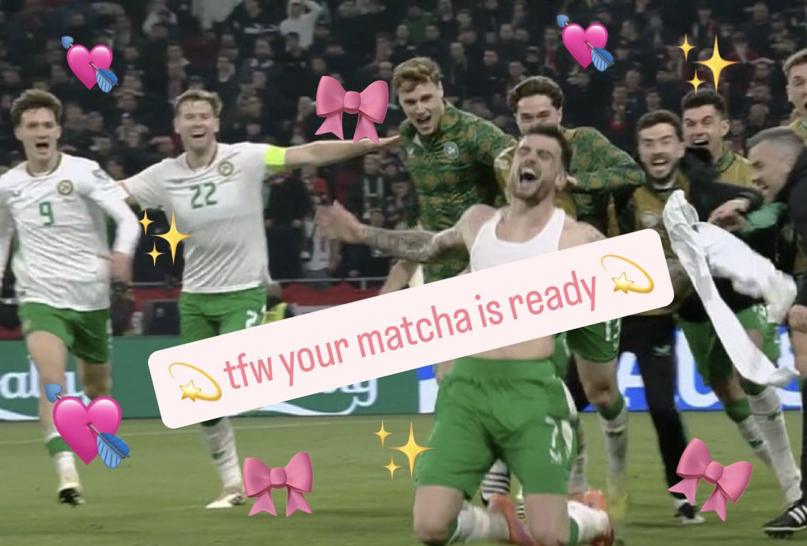 eveconway30's tweet image. guys i think ireland just won a match or something