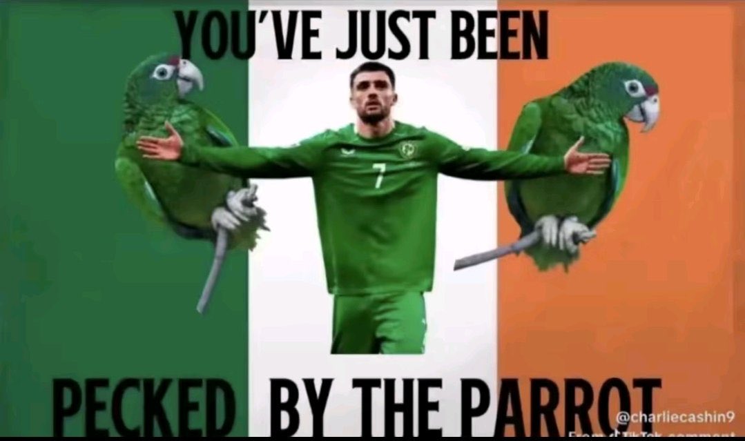 OwenWebbORourke's tweet image. #HUNIRL