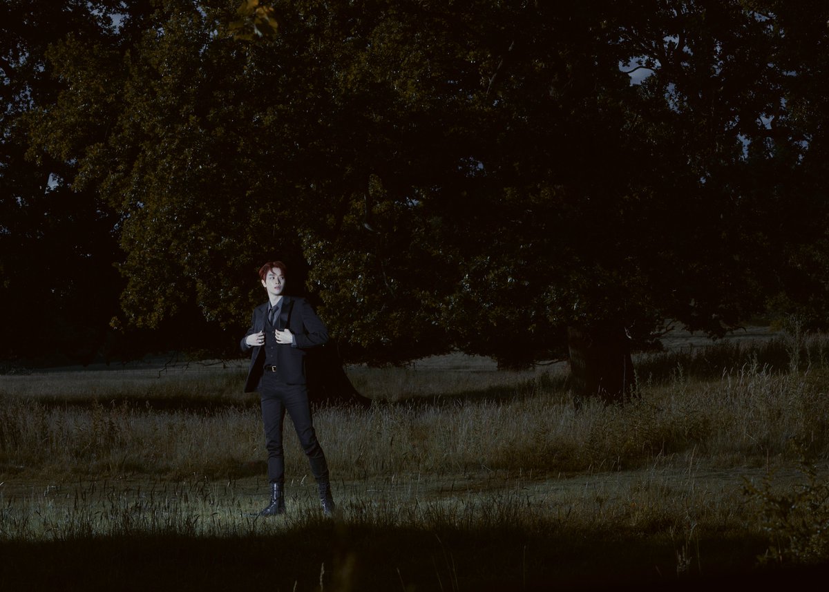 ͏͏Jung tweet media