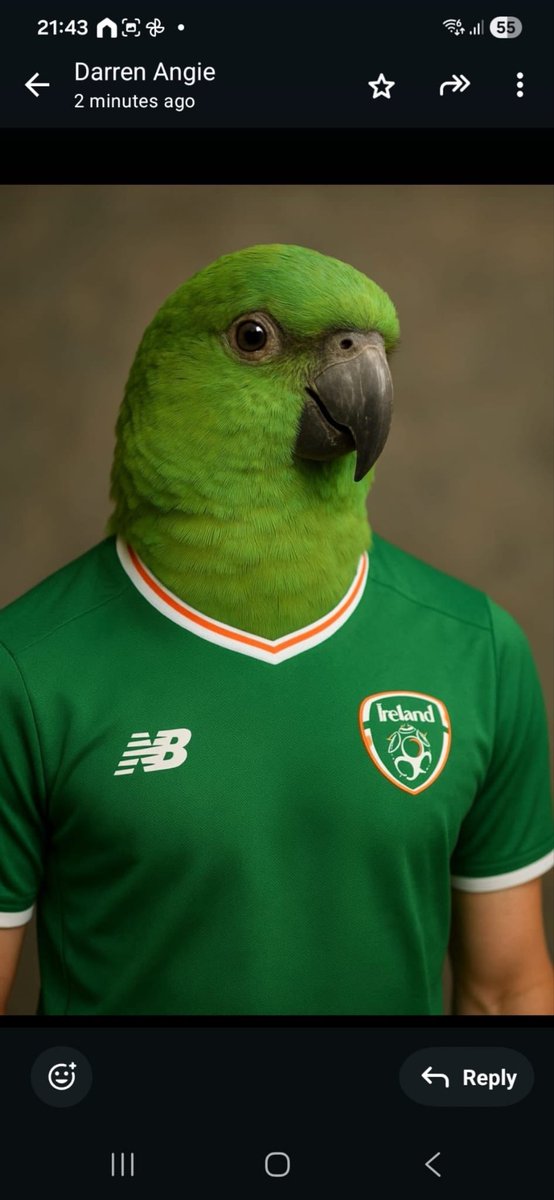 Evan23965963's tweet photo. @IrelandFootball https://t.co/K1nRnLSbR2