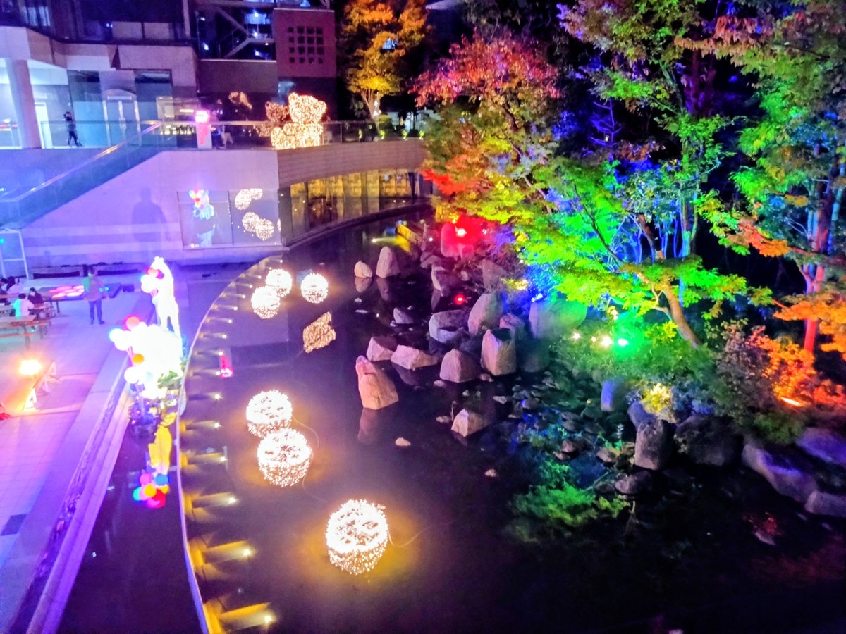 まあちゃん様 まぁちゃん123 (@Z26mbBvbNYjfnZn) / Posts / X